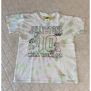 Hanna Barbera Jelly Stone Park Mill Run PA Tie dye Print Top Size Youth Medium